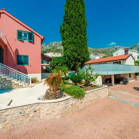 Hedera Estate Hedera Xix