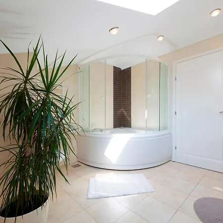 Hedera Estate Hedera Xix *